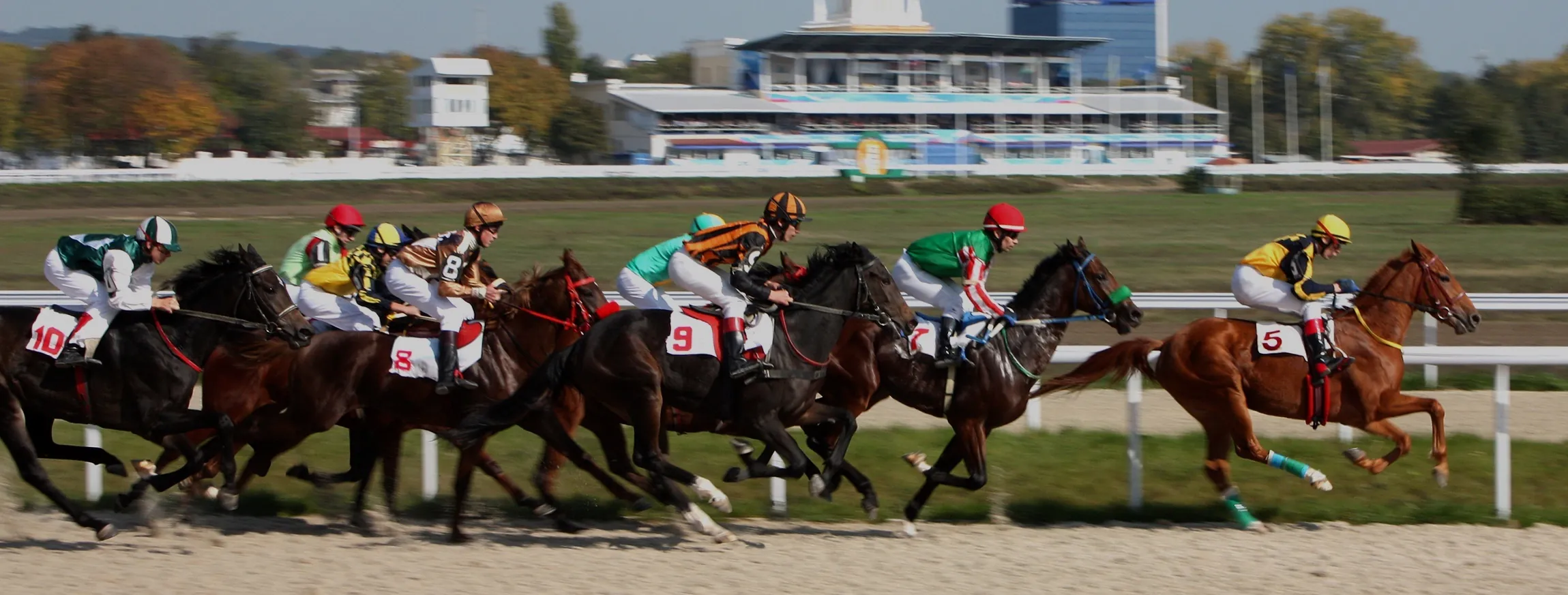 Horses Racing.